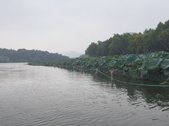 -西湖游船