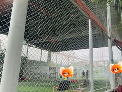 -飞梦少儿足球培训(塘桥校区)