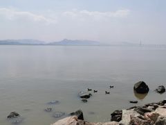 -深圳湾公园(南山区)