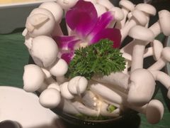 -老灶堂文创火锅(文艺路店)