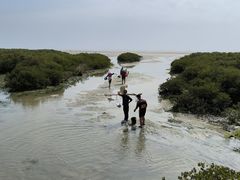 -北海金海湾红树林生态旅游区