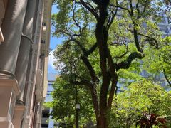 -香港大学