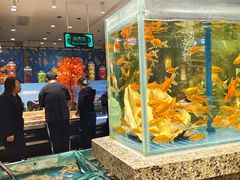 -初色海鲜自助(万丰路店)