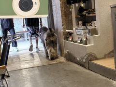 -KUDDO COFFEE(天河城店)