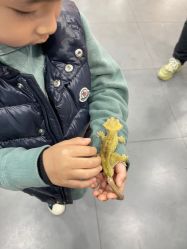 -Moni星球萌宠·小马宝莉·灵蛇·高端高阶全萌宠互动体验俱乐部(红豆国际广场店)