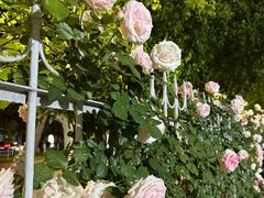 -第四军医大学西京医院·体检二部