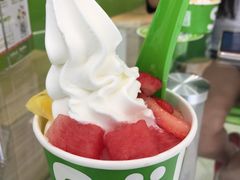 -Salud撒露欧洲冻酸奶(北苑上品店)