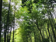 -鸡枕山