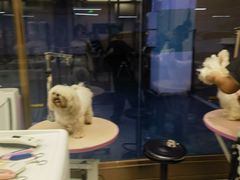 -FAELING PETS美天灵宠物(富力广场店)