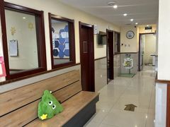 -艾贝尔宠物医院·24H转诊中心·肿瘤猫专科(江宁双龙店)