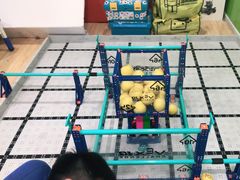 -乐博乐博少儿编程·乐高机器人编程·信息学竞赛(百仕达校区)