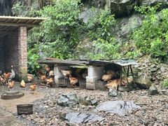 -途中饭店(开化店)