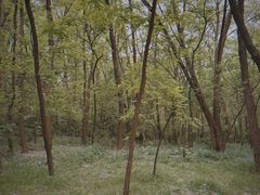 -廊坊市自然公园