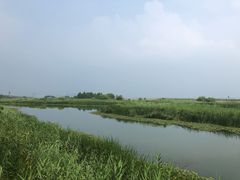 -太湖湖滨国家湿地公园-停车场