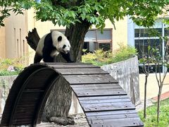 -西安秦岭野生动物园