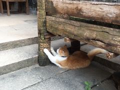 -老屋咖啡