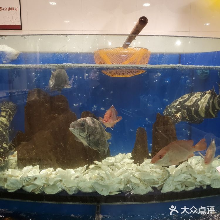 海鲜狂欢夜