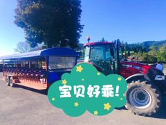 -Patagonia Chocolates(皇后镇店)