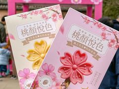-桃花堤公园