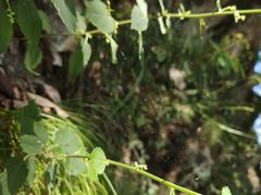 -栾川竹海野生动物园