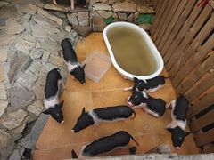 -HERRE·FARM 赫尔露营农场·团建聚会包场