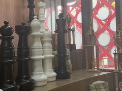 -常青藤国际象棋(新奥店)