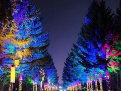 -长春市南湖公园