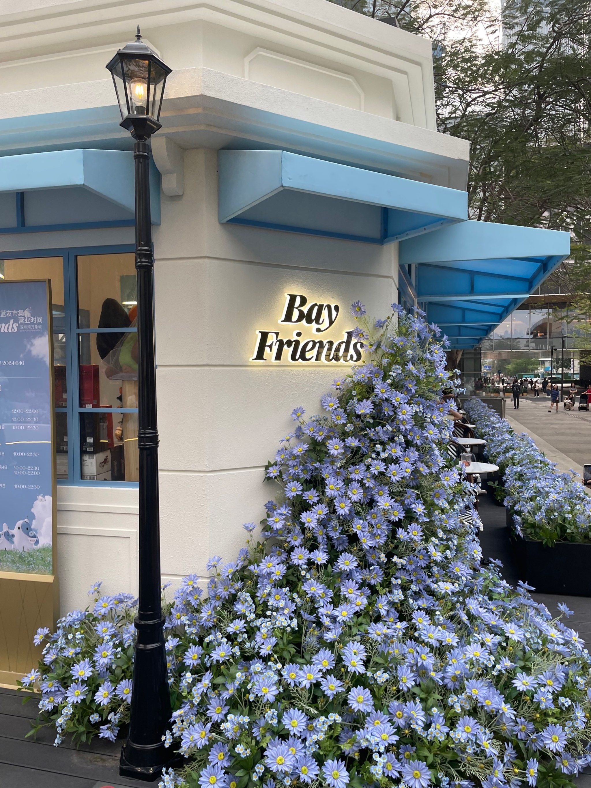 深圳湾万象城|蓝色雏菊花海61快闪97