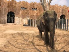 -济南野生动物世界