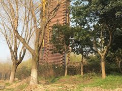 -昆山城市生态森林公园