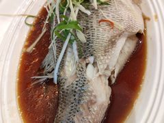 -眉州东坡(中日友好医院店)
