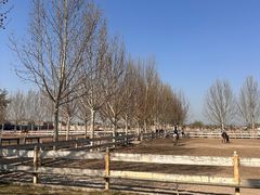 -北京群众马术培训基地