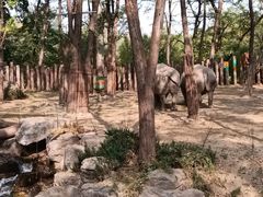 -北京野生动物园