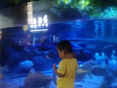 -成都浩海立方海洋公园