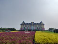 -百万葵园