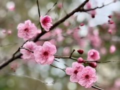 -朝阳正码头