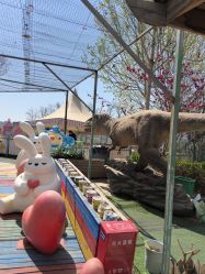 -萌宠亲子动物乐园(槐房万达店)