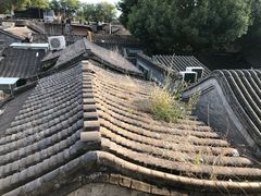 -糖房咖啡(南锣鼓巷店)