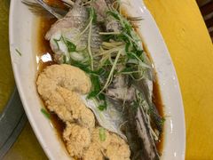 禾顺鱼-鸿达渔港