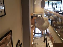 -拾光·小碗甜品