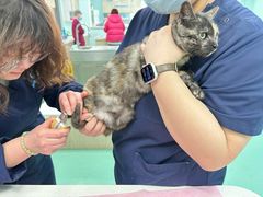 -北京观赏动物医院·24小时大型综合·猫专科·异宠专科