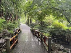 -杭州植物园