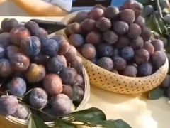 珍珠李（5斤）-水果天空(东葛店)