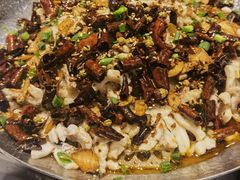 -三猫黑鱼花(南大店)