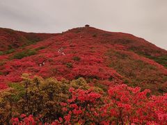-大围山国家森林公园