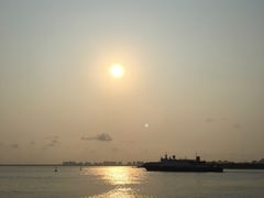 -东郊椰林
