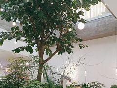 -大树餐厅(红旗街万达店)