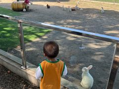 -苏州太湖西山岛开心农场