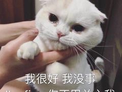 -瑞派宠物医院·24小时骨科·心脏·核磁(哈尔滨南岗店)
