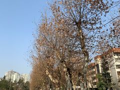 -四川大学(望江校区)